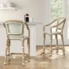 Parksley Rattan And Woven Counter Height Barstool White - Threshold™ 1 Parksley Rattan And Woven Counter Height Barstool White - Threshold™ -West Elm GUEST 0eebe2e2 8609 4688 a9ee c54ebc99e56e